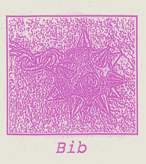 Bib : Demo 2015